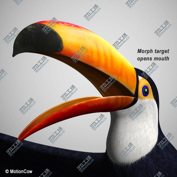 images/goods_img/202104091/Toucan A   Flying/3.jpg